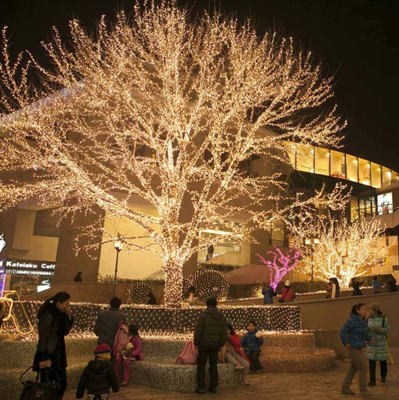 Kalėdinės LED lemputės eglutei – 500 LED, 32,7 m, šiltai balta šviesa