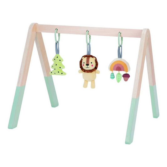 Tooky Toys TJ386 edukacinis lavinamasis gimnastikos stovas