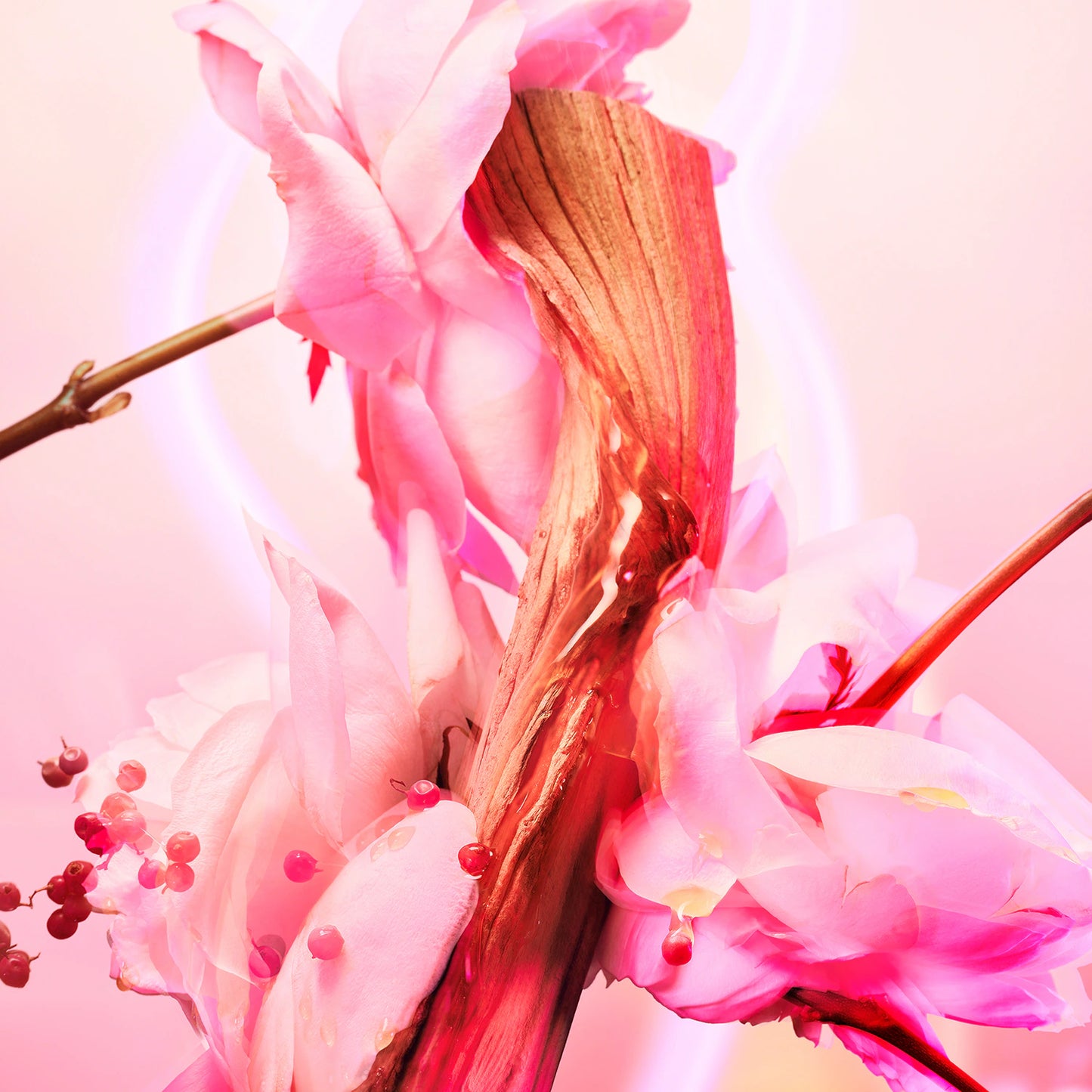 CHARLOTTE TILBURY Love Frequency – parfumuotas vanduo