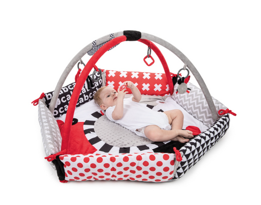 Lavinamasis kilimėlis Canpol Babies Multifunctional Discovery Play Mat, 110 cm x 110 cm