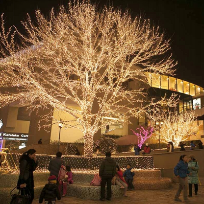 Kalėdinės LED lemputės eglutei – 500 LED, 32,7 m, šiltai balta šviesa